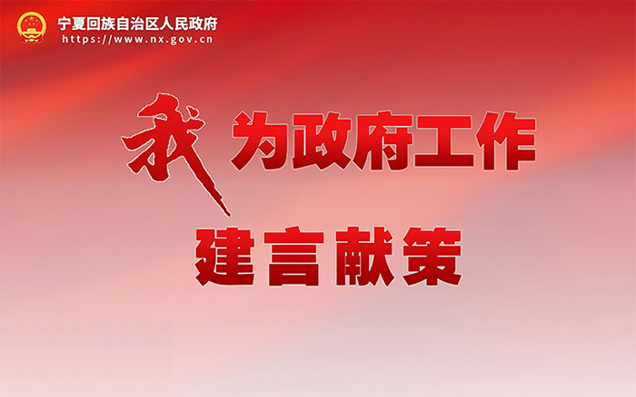 2025年自治区政府工作和民生实事意见建议征集